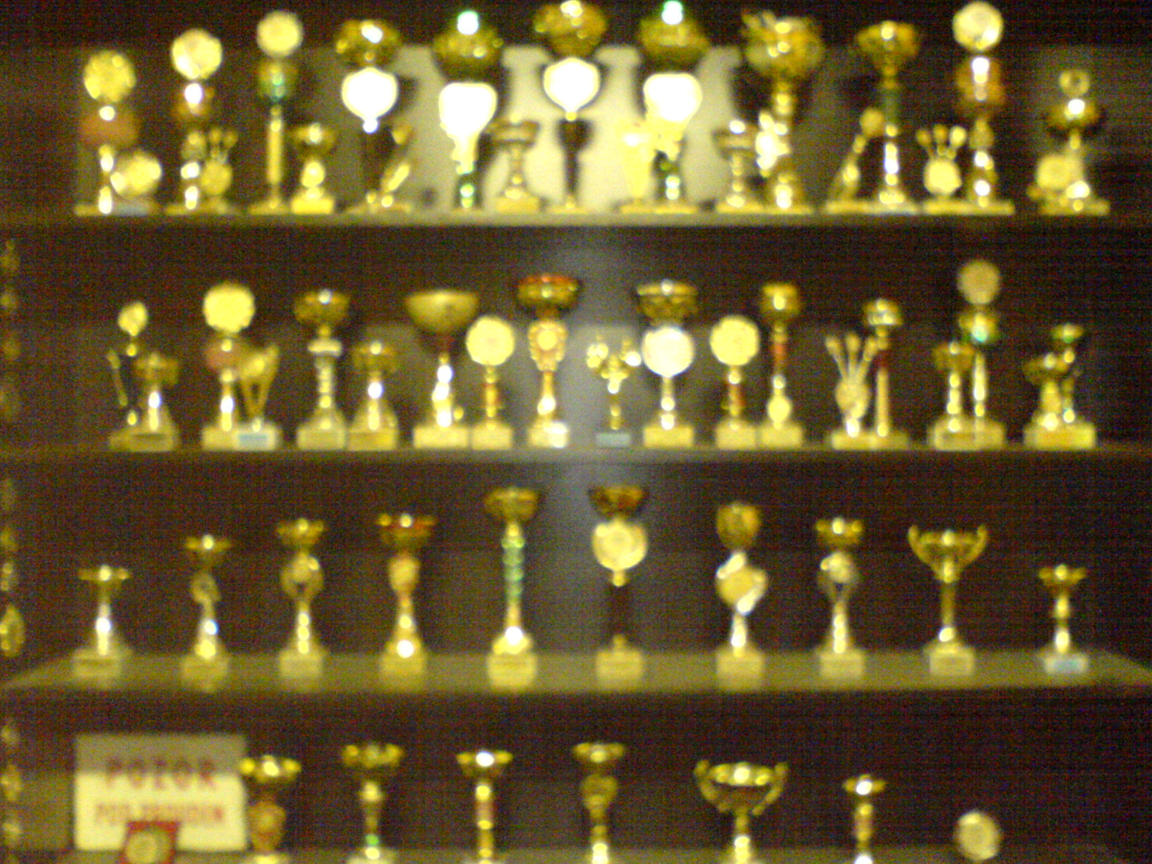 DSC00078.JPG